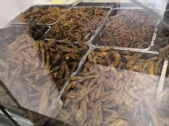 -七星椒卤菜(三圣宫店)