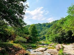 -武汉姚家山旅游景区