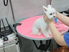 -宠福鑫康馨动物医院·骨科·眼科