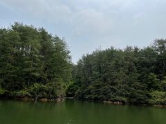 -冠豸山景区