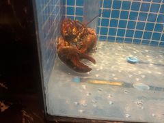 -和和小厨