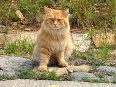 -北京西山国家森林公园