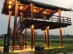 -长田漾湿地公园