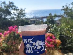 -南澳岛打卡果汁冰公司