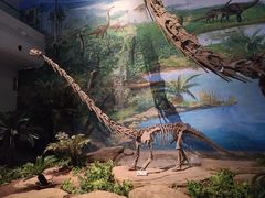 -自贡恐龙博物馆