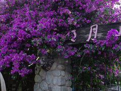 -明月山庄私房菜(环海东路店)