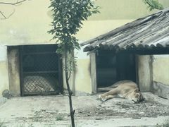 -天津市动物园