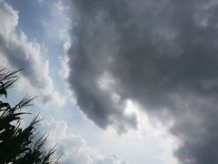 -汤森悠生活文化汤(江宁万达店)