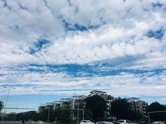 -中关村生命科学园