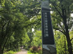 -青龙山国家森林公园