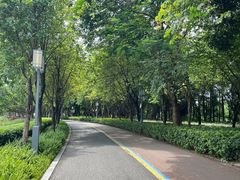 -顺峰山公园