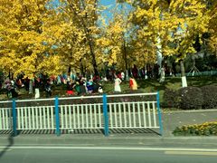 -重庆市江北嘴中央商务区中央公园