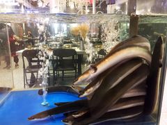 -本炙炭烤·蒲烧活鳗料理店(金沙洲店)