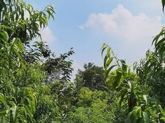 -华盛园卷子王农家菜水库鱼