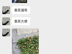 -睿金宠物医院·CT·肿瘤·骨外科