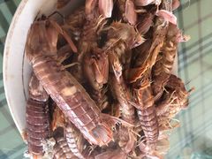 皮皮虾-常家活海鲜小吃(仅一家无分店)
