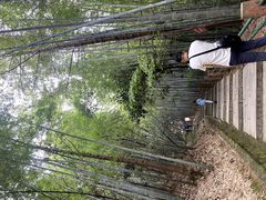 -敬亭山风景名胜区