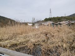 -西湖风景区-江洋畈生态公园
