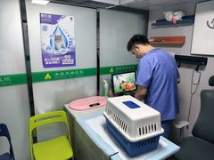 -半岛宠物医院24小时(科华中路店)
