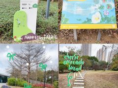 -福田红树林生态公园