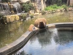 -凤翔首邑温泉度假村
