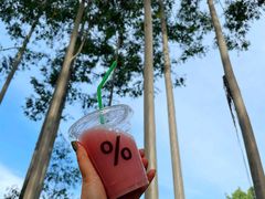 -桉树林A coffee 森林餐厅(三圣乡店)