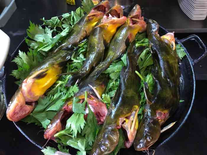 酒都小镇酒店-"单位出去开会,集体走这边吃了一下,感觉很..."-大众点