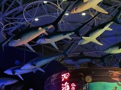 -烟台海昌鲸鲨海洋公园