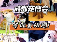 -成都世纪城新国际会展中心
