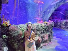 -沈阳海洋探索中心