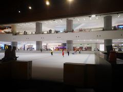 -TheRink大零溜冰场(IFS国金中心店)
