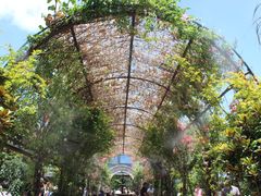 -The Grounds of Alexandria