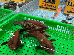 -79号渔船海鲜饭店(宝安店)