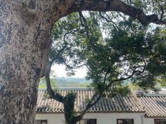 -叶挺将军纪念园