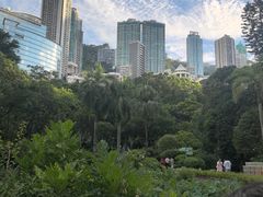 -九龙公园