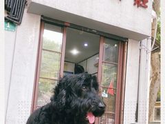 门面-天府面庄(天平路店)