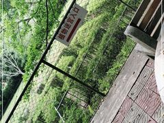 -广东茂名森林公园
