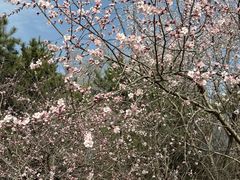 -北京奥林匹克公园