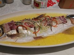 鸡汁香蒸大白鱼-海富门·带鱼·淮扬菜·粤菜(甘家口店)