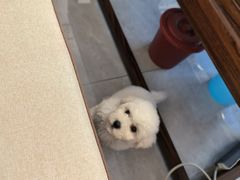 -宠颐生·恒爱宠物医院(静海店)