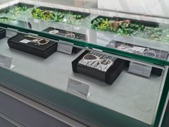 -奔驰利星行(北京花乡店)