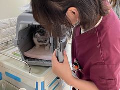 -美联众合动物医院·24h京西诊疗中心