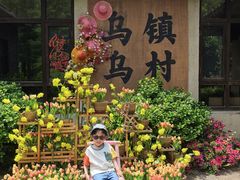 -乌村