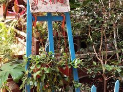 -小洲村
