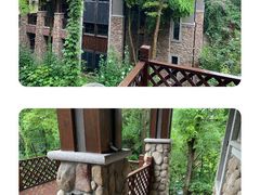 -都江堰中华大熊猫苑