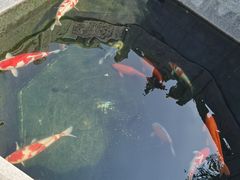-西安市广仁寺
