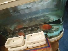 -福海居烤鸭店(鸟巢店)