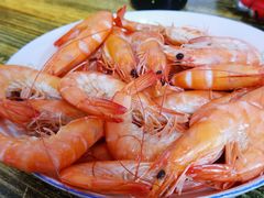 -人和啤酒屋海鲜大排档(营口路店)