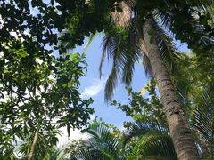 -三亚珠江南田温泉度假区