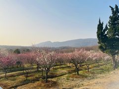 -钟山体育运动公园